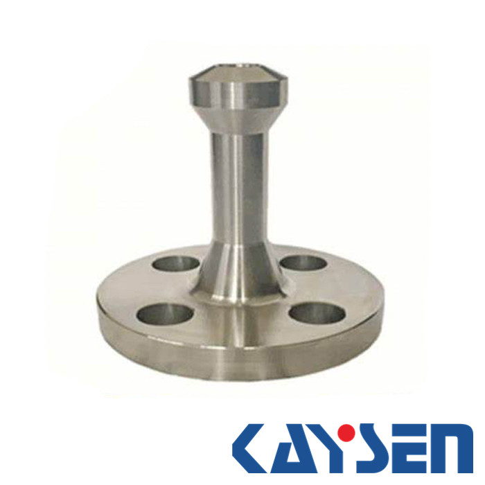 stainless steel ansi forged weldo flange